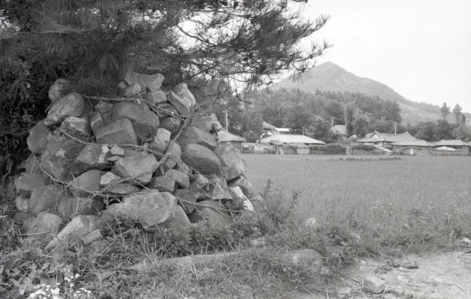 김운기 컬렉션이미지