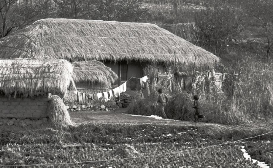 김운기 컬렉션이미지