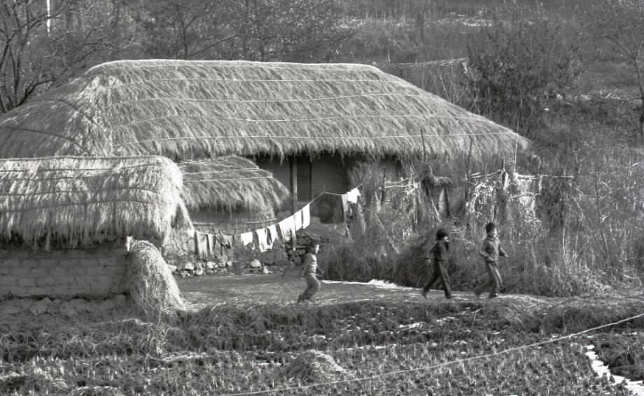 김운기 컬렉션이미지