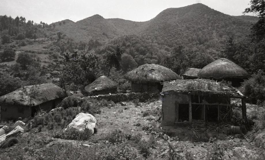 김운기 컬렉션이미지