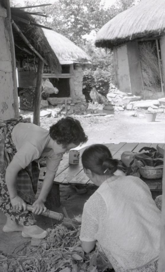 김운기 컬렉션이미지