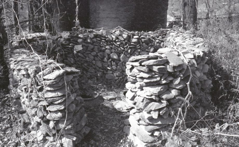 김운기 컬렉션이미지