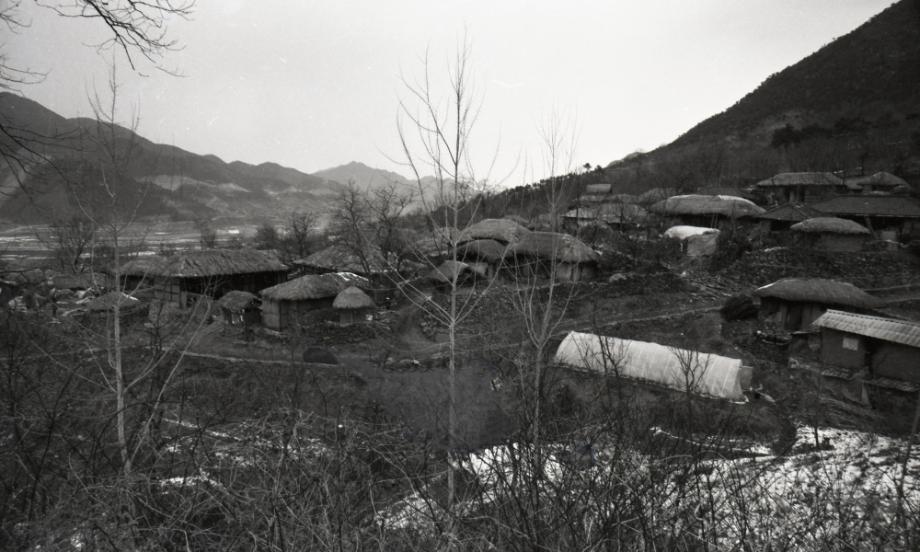 김운기 컬렉션이미지