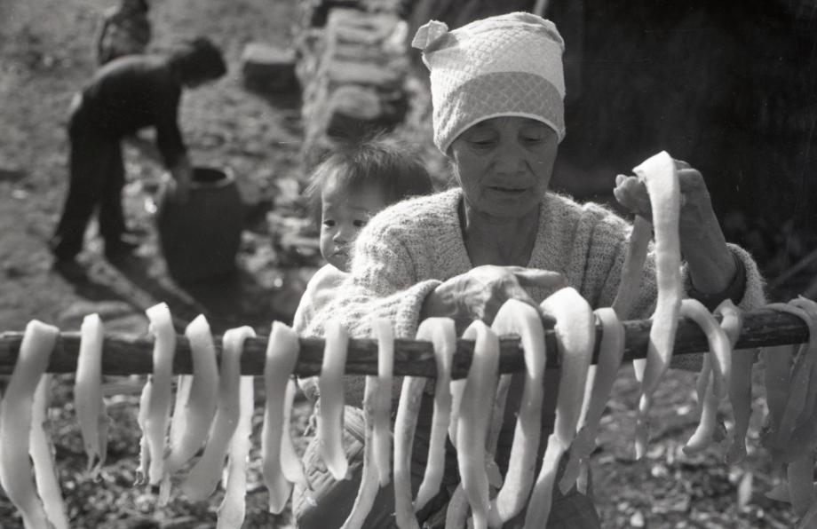 김운기 컬렉션이미지