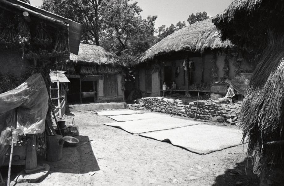 김운기 컬렉션이미지