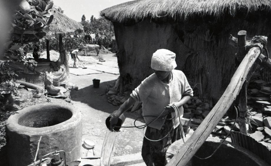 김운기 컬렉션이미지