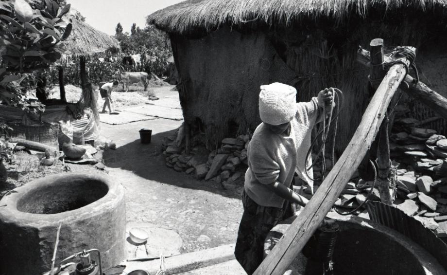 김운기 컬렉션이미지