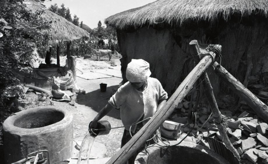 김운기 컬렉션이미지