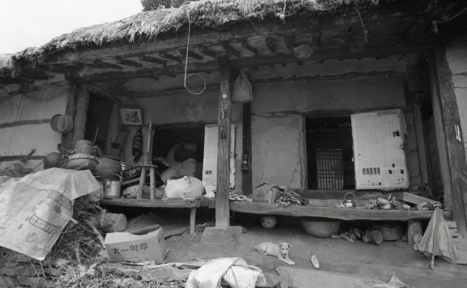 김운기 컬렉션이미지