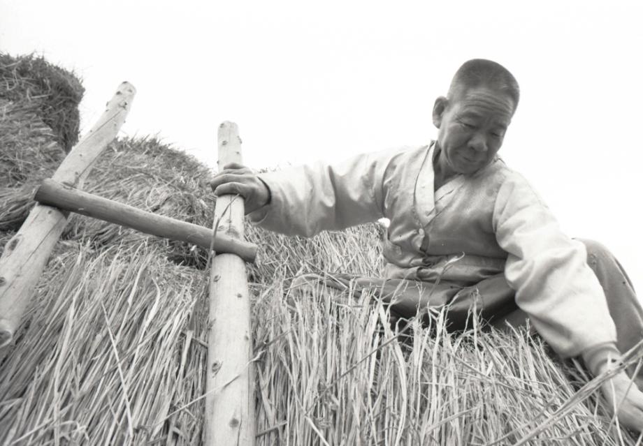 김운기 컬렉션이미지