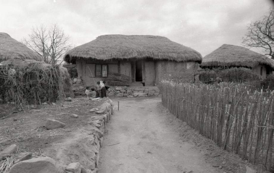 김운기 컬렉션이미지