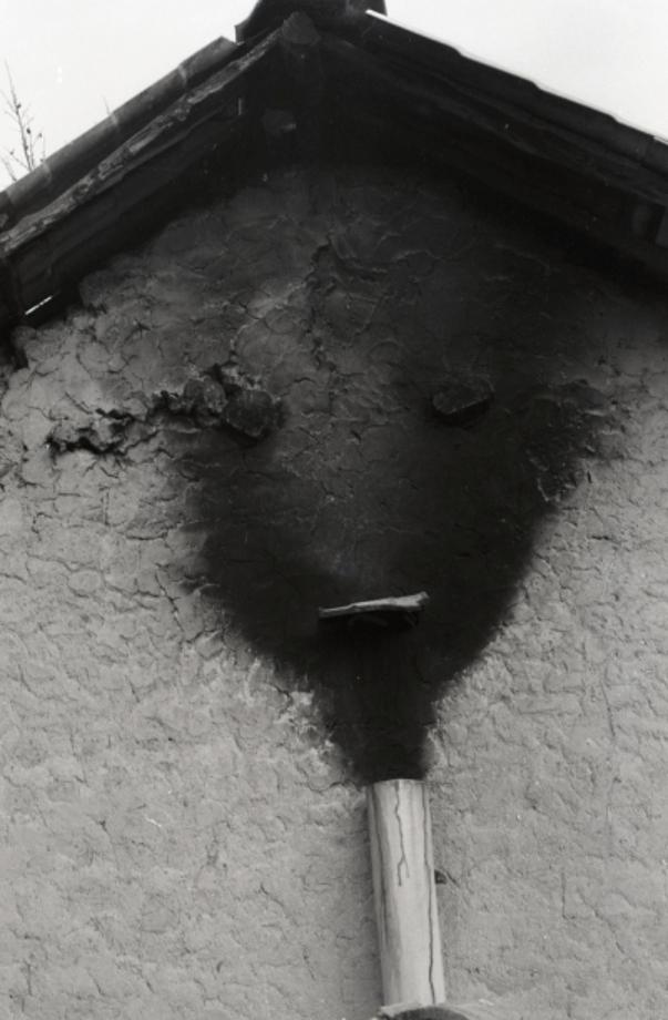 김운기 컬렉션이미지