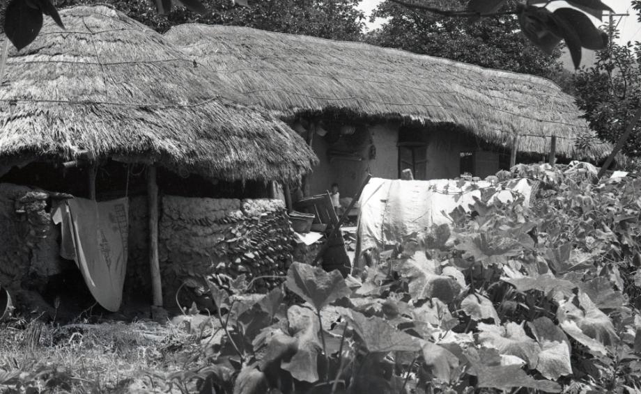 김운기 컬렉션이미지