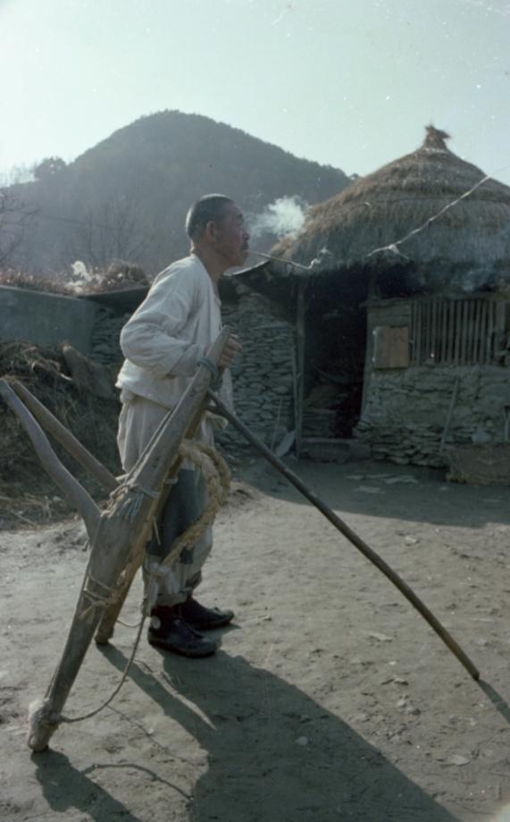 김운기 컬렉션이미지