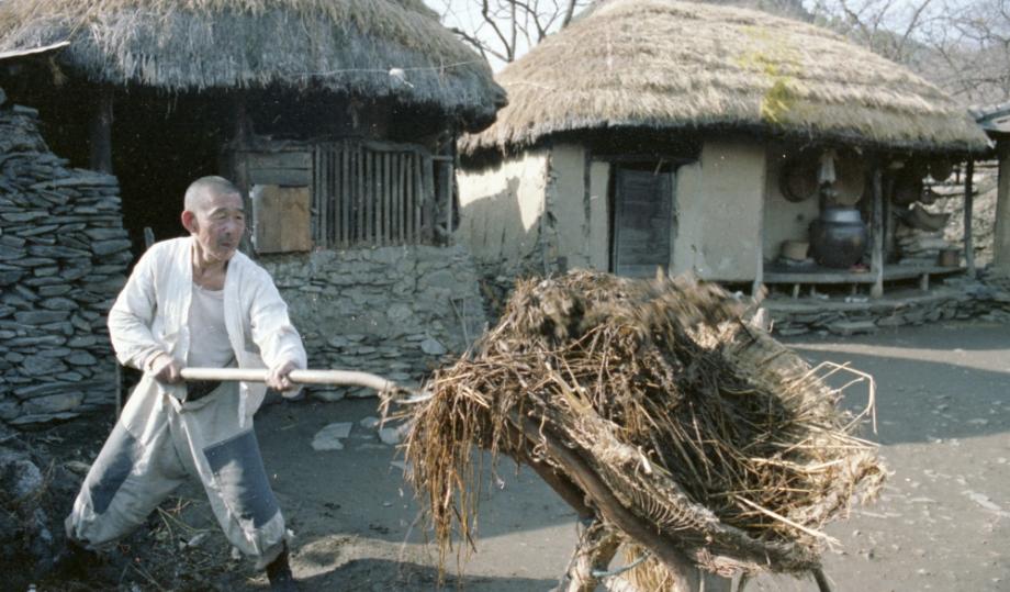 김운기 컬렉션이미지