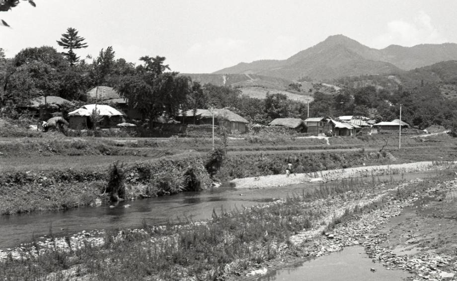 김운기 컬렉션이미지