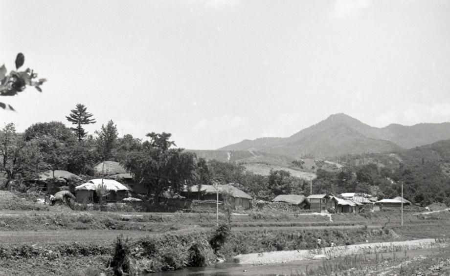 김운기 컬렉션이미지