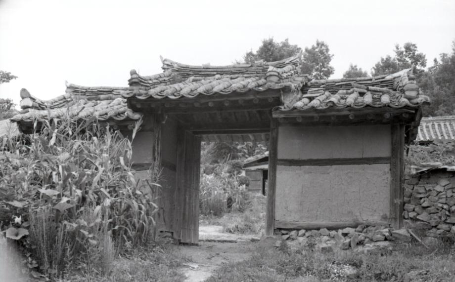 김운기 컬렉션이미지