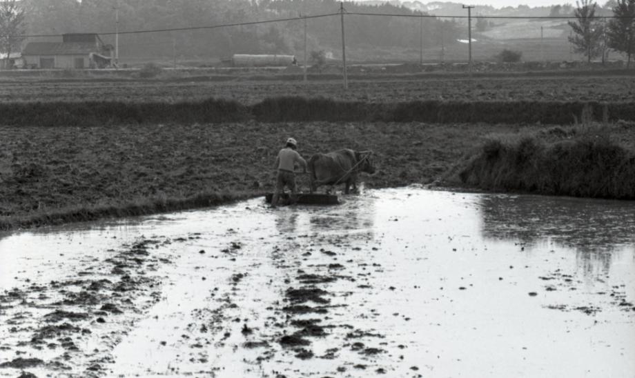 김운기 컬렉션이미지