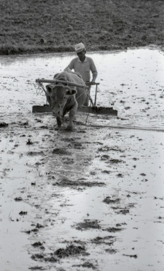 김운기 컬렉션이미지