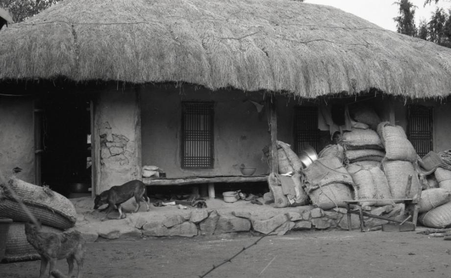 김운기 컬렉션이미지