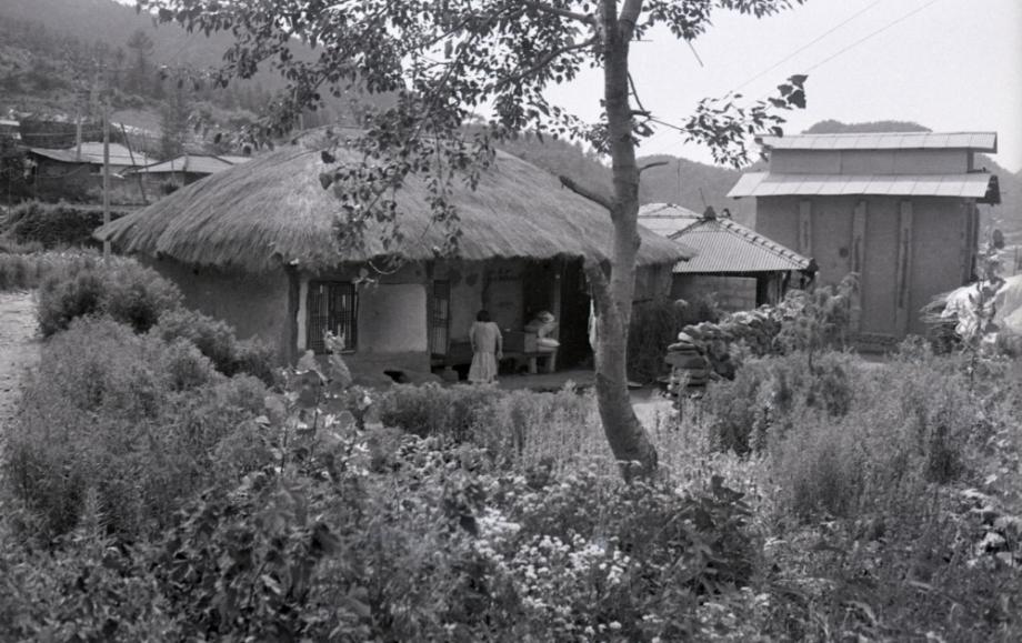 김운기 컬렉션이미지