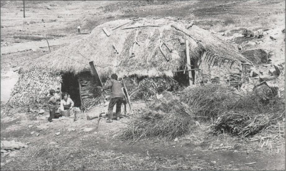 김운기 컬렉션이미지