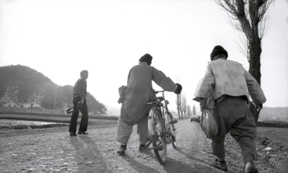 김운기 컬렉션이미지