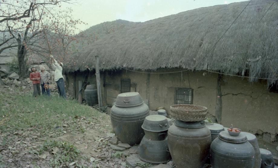 김운기 컬렉션이미지