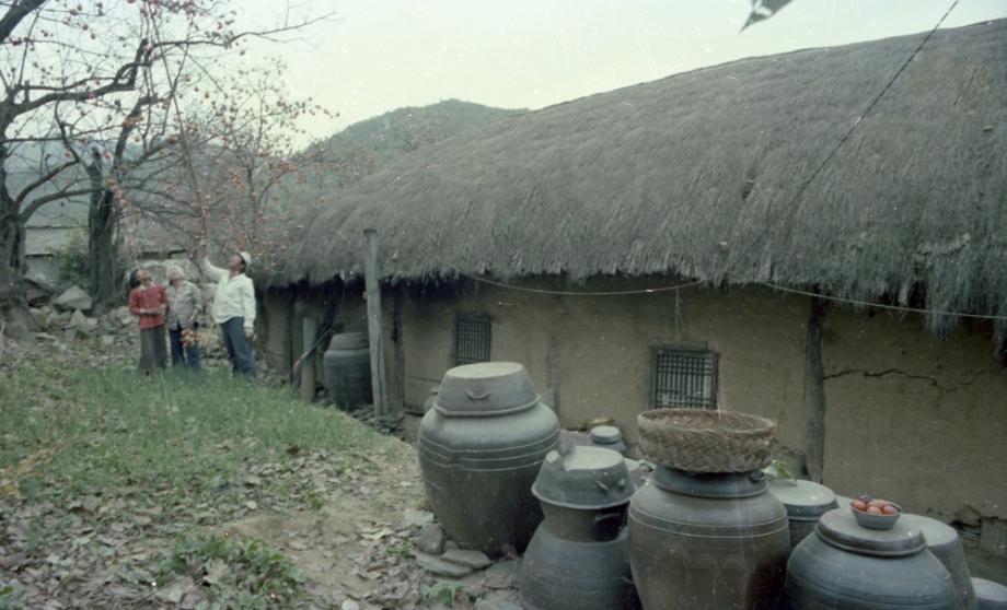 김운기 컬렉션이미지
