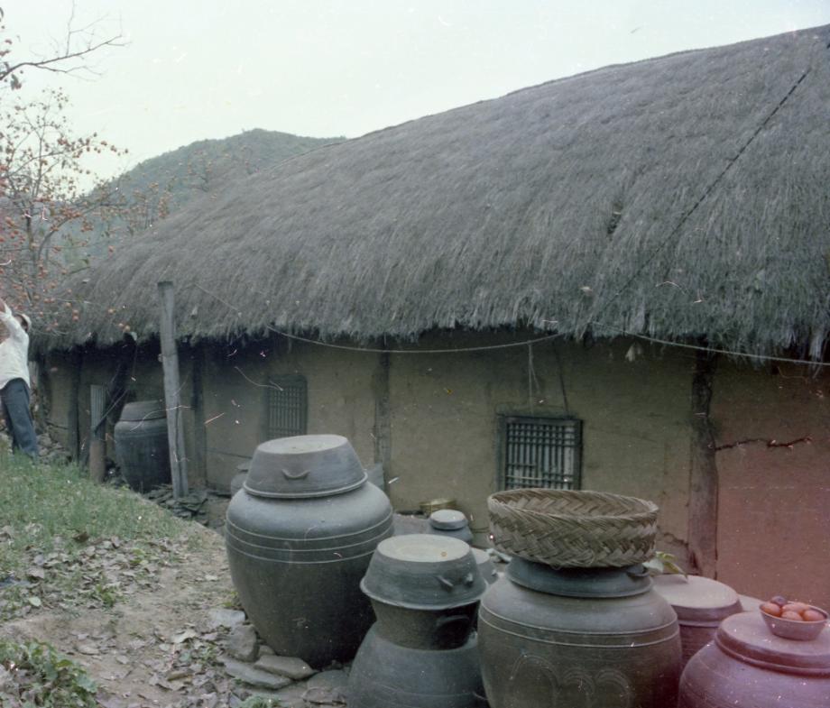 김운기 컬렉션이미지