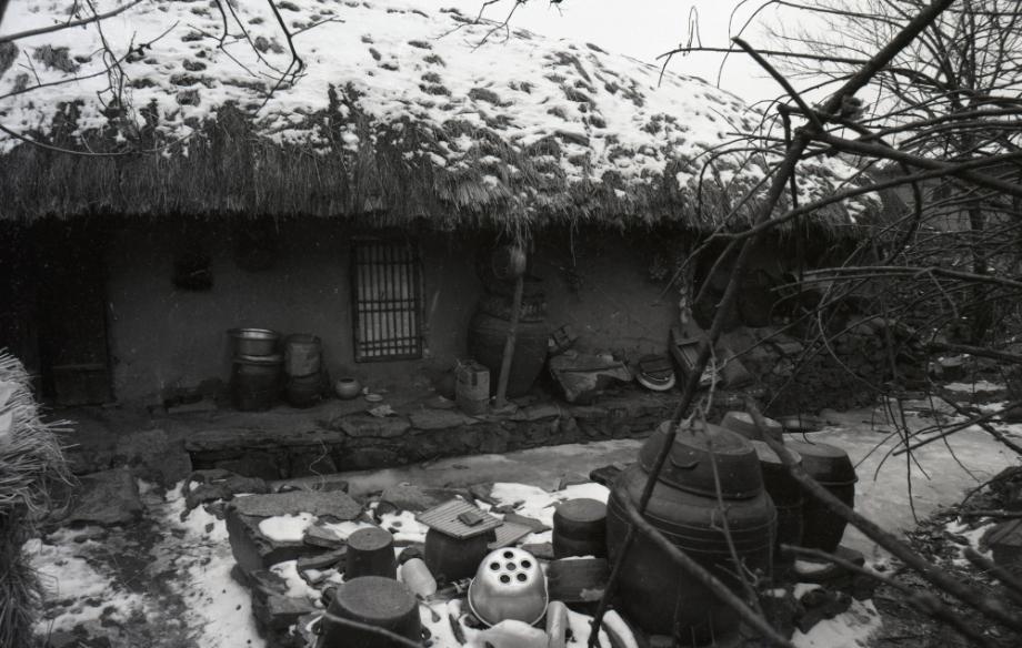 김운기 컬렉션이미지