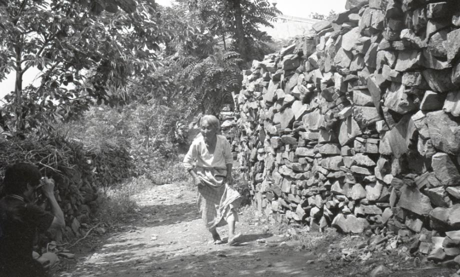 김운기 컬렉션이미지