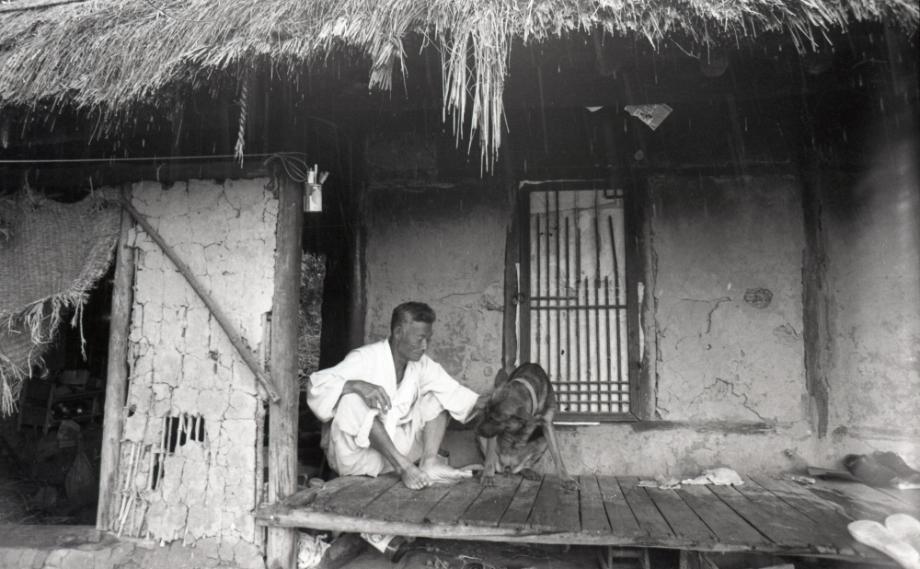 김운기 컬렉션이미지