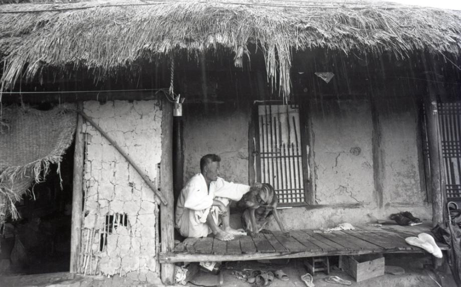 김운기 컬렉션이미지