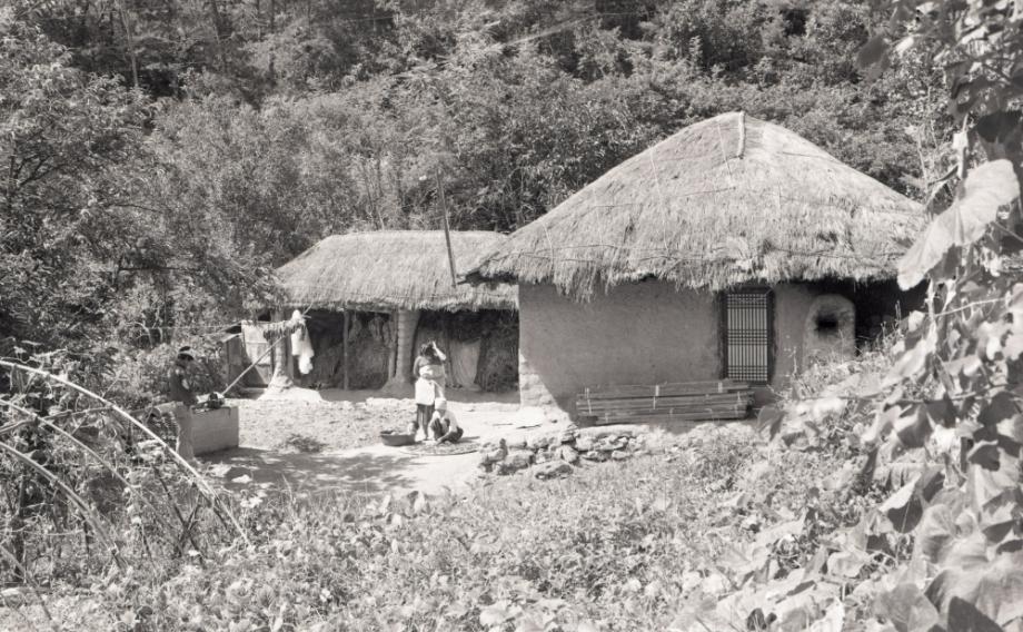 김운기 컬렉션이미지