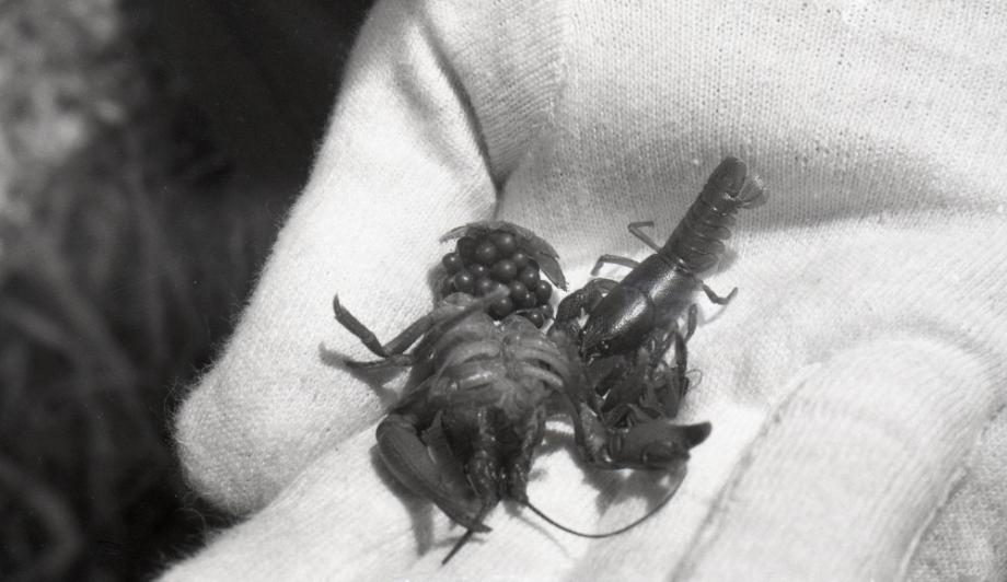 김운기 컬렉션이미지