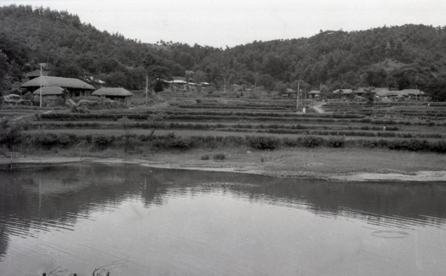 김운기 컬렉션이미지