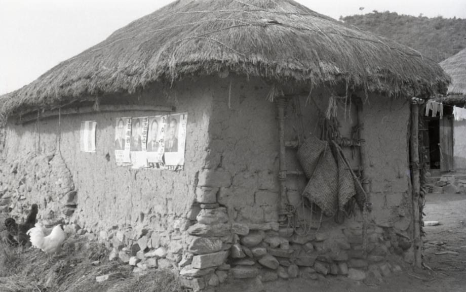 김운기 컬렉션이미지