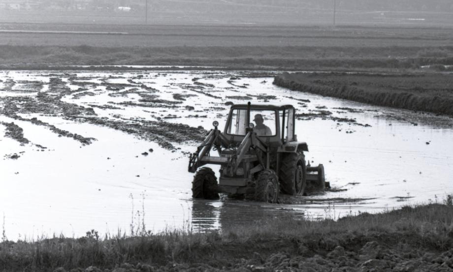 김운기 컬렉션이미지