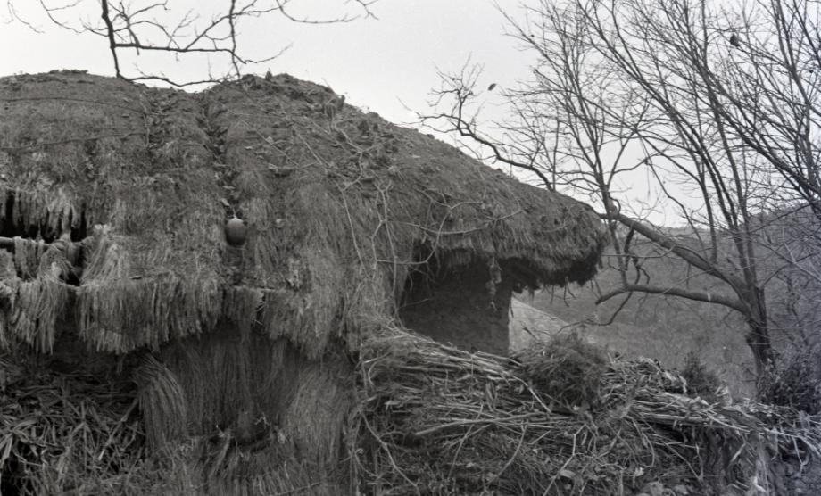 김운기 컬렉션이미지