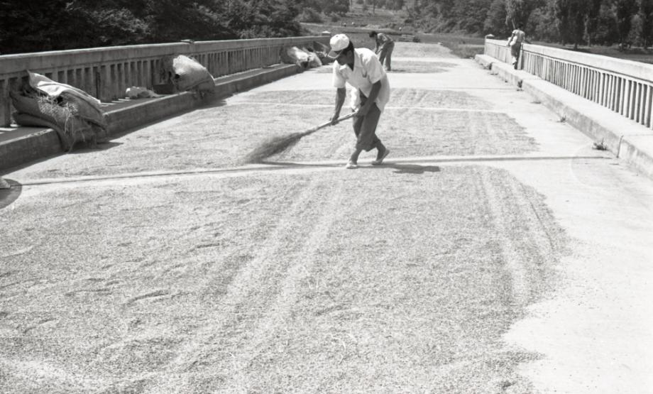 김운기 컬렉션이미지