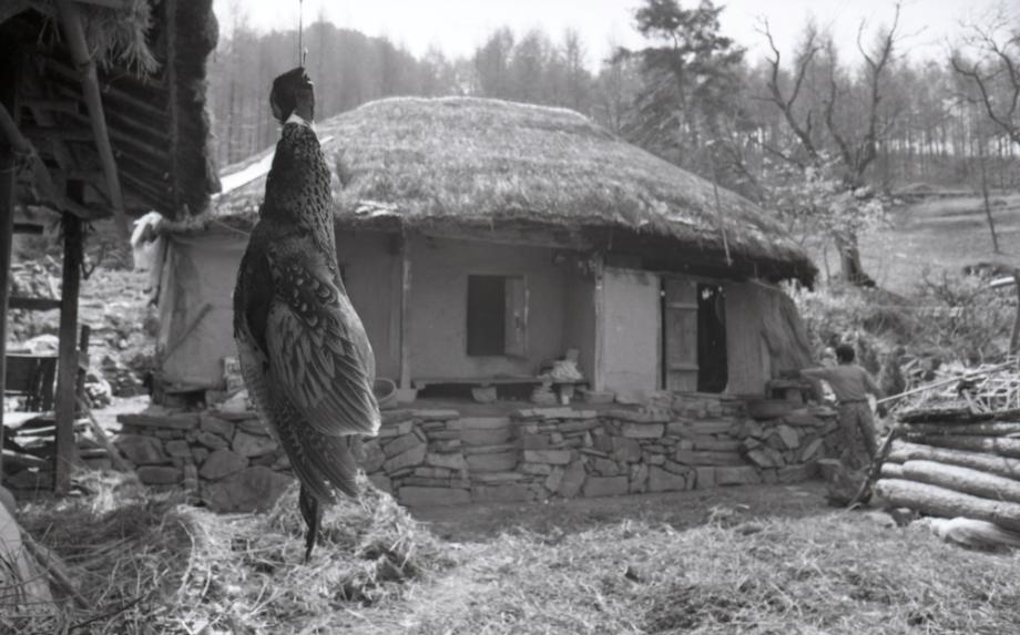 김운기 컬렉션이미지