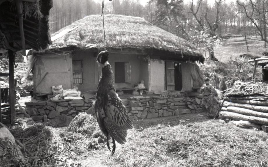 김운기 컬렉션이미지