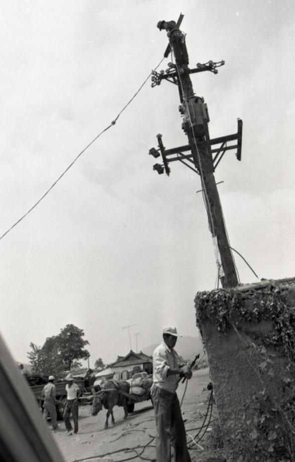 김운기 컬렉션이미지