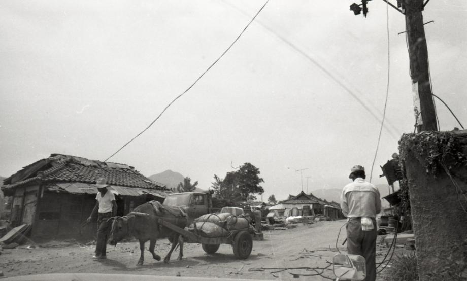 김운기 컬렉션이미지
