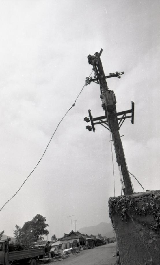 김운기 컬렉션이미지