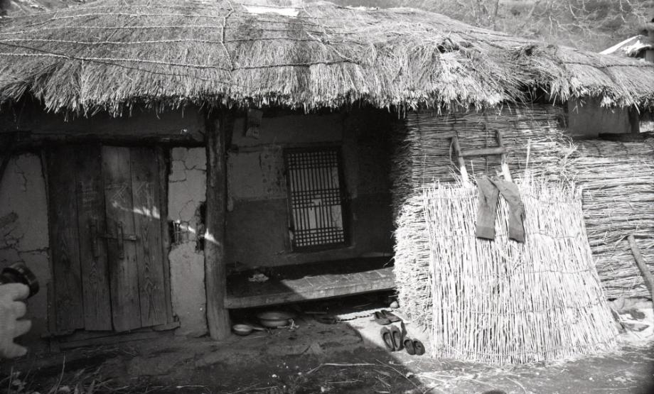 김운기 컬렉션이미지