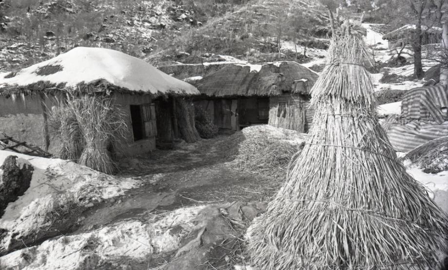 김운기 컬렉션이미지