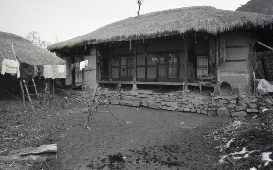 김운기 컬렉션이미지